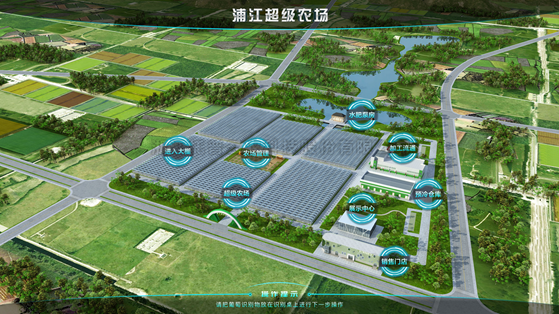 浦江超级农场：科技赋能让种植更高效