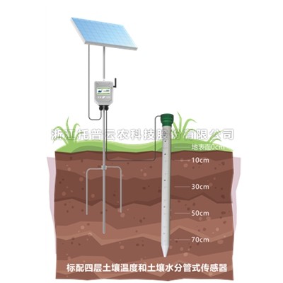 管式91视频下载免费墒情监测仪TPGSQ-4