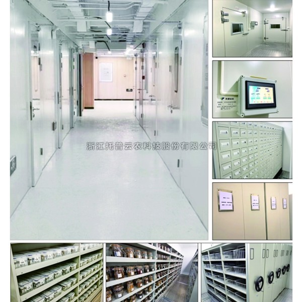 种质资源中期库介绍|什么是种质资源中期库？