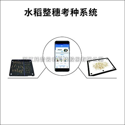 水稻整穗考种仪：一款基于图像识别技术的水稻整穗考种测量工具