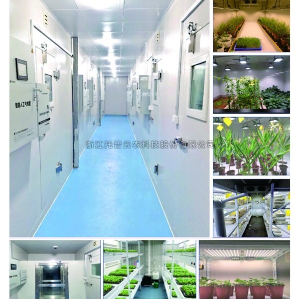 一文了解植物人工气候室是什么？
