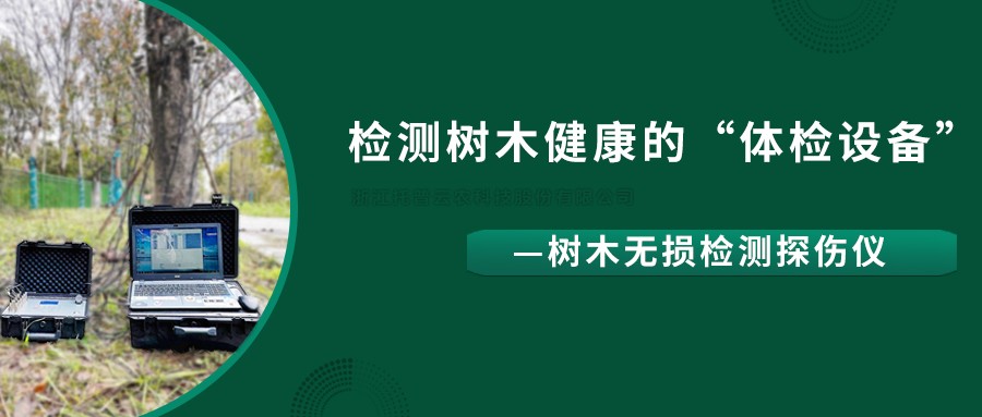 树木无损检测探伤仪精准检测树木健康状况，给出专业治疗方案