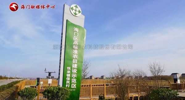 江苏海门高标准农田样板区，智慧化监管守护千亩良田