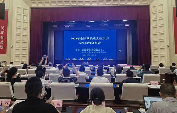 喜报！经现场公开测试，91视频网址入口智能虫情测报灯图像识别准确率达97.2%！