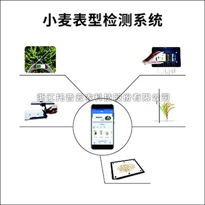 小麦表型检测系统：专业的小麦表型检测仪器