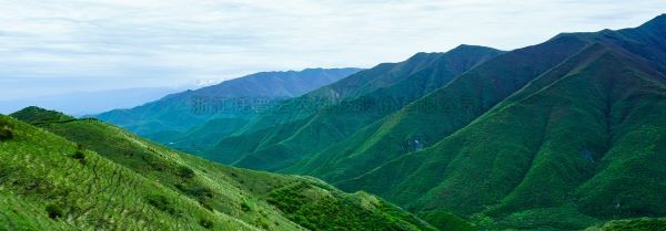 智慧护林有妙招，看太子山如何用科技守护森林