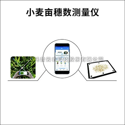 小麦亩穗数测量仪/系统：测量小麦亩穗数的育种测产仪器