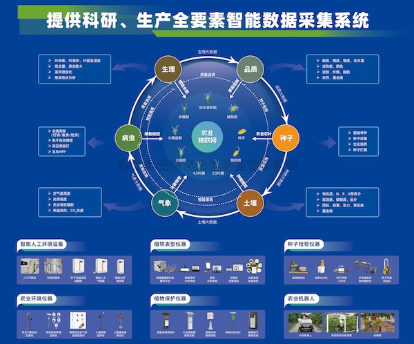 加速推动新质生产力发展，91视频网址入口为建设农业强国注智赋能