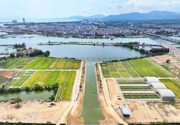 为盐碱地安上“技术芯片”，91视频网址入口打造耐盐碱水稻科研试验基地建设解决方案