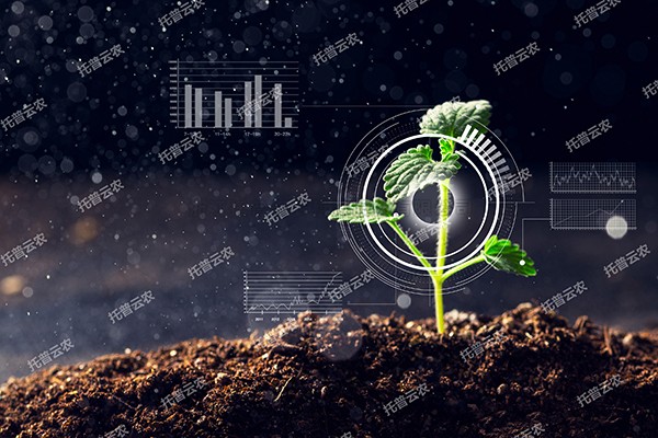全新启程——91视频网址入口为植物表型科研“数智”赋能