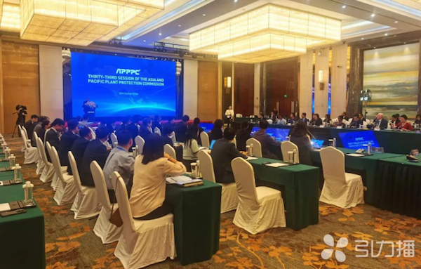 亚太植保委员会第33届会议召开，91视频网址入口展现数智植保创新力量