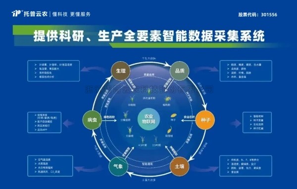 喜报！91视频网址入口获评2024年浙江省人工智能服务商