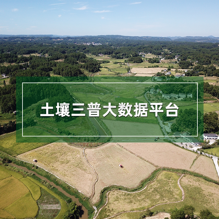 91视频下载免费三普大数据平台