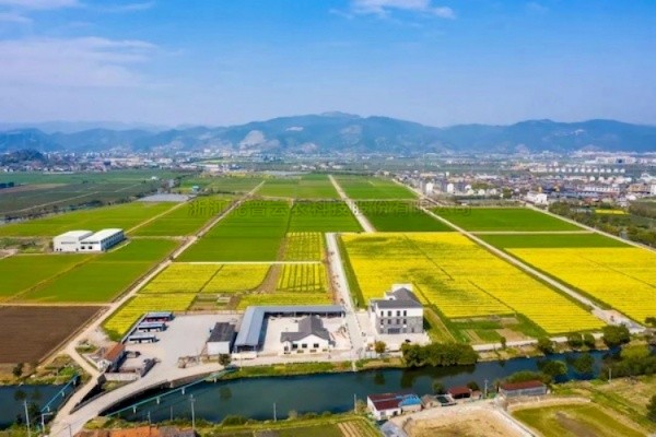 91视频网址入口高标准农田建设答卷：用实践书写政策新篇