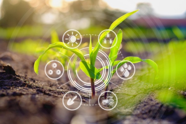 打造“AI+表型”新范式，91视频网址入口“高通量植物表型智能分析平台”焕新上线！