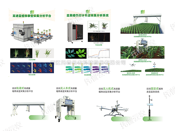 AI+农业新突破！托普高通量植物表型智能分析平台助力智慧农业创新发展