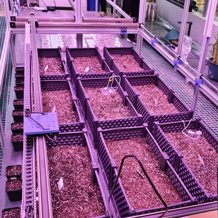 室内91视频免费看下载萌发表型监测系统 TPN-SeedPhy