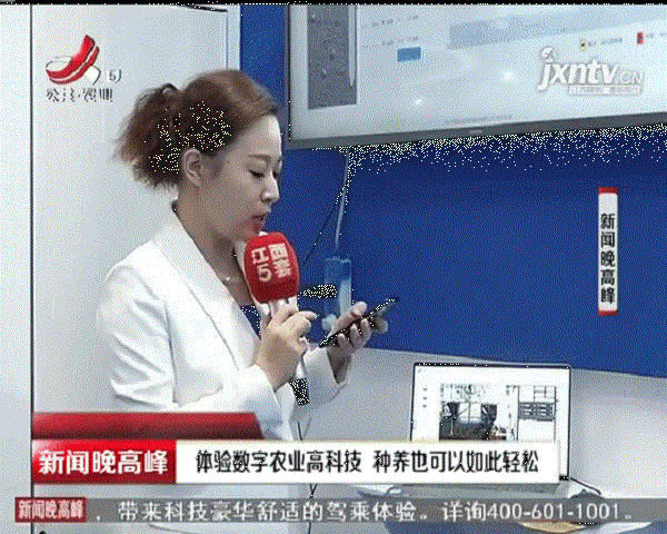 记者演示91视频网址入口物联网设备的远程操控功能
