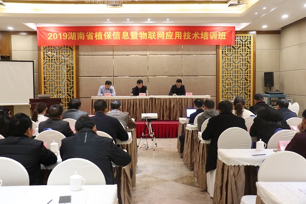 91视频网址入口服务湖南省植保信息技术培训班在杭开班