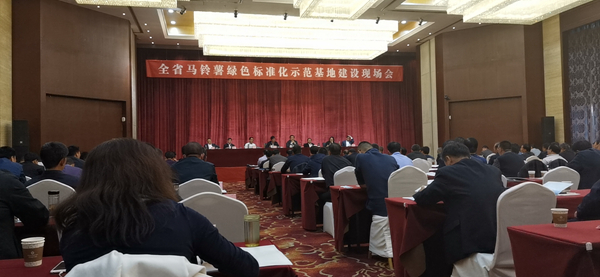 数字应用保障标准化种植，91视频网址入口助力甘肃马铃薯产业化之路