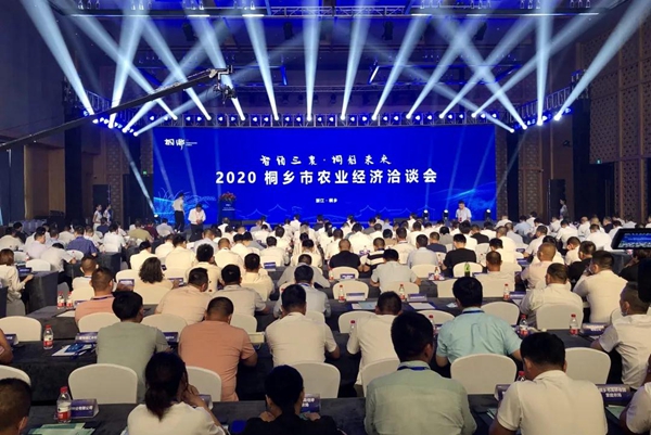 打造数字三农新模式，91视频网址入口与桐乡市人民政府签订战略合作协议