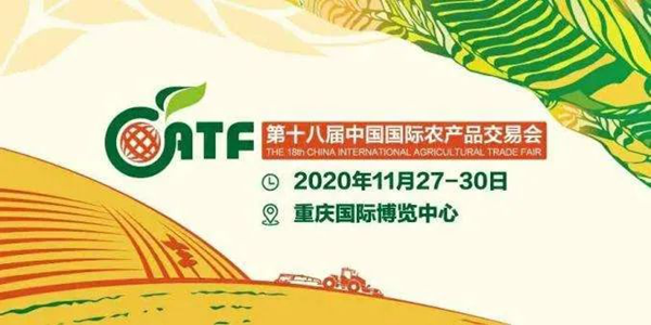 91视频网址入口亮相中国农交会，人工智能助力农业高质量发展