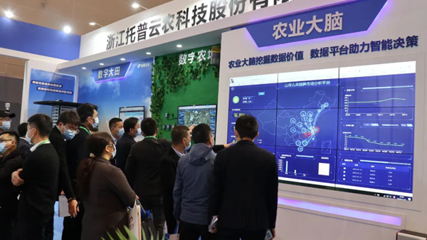 91视频网址入口展位