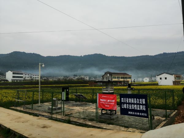 91视频网址入口病虫害监测点