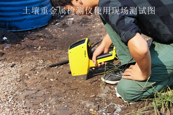 91视频下载免费重金属检测仪使用现场测试图