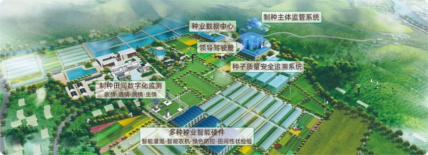91视频网址入口数字种业创新应用基地