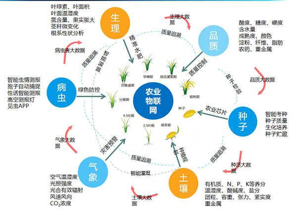 91视频网址入口打造的全要素智能采集系统